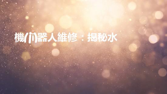 機(jī)器人維修：揭秘水道機(jī)器人的神奇技術(shù)，你真的了解它們嗎？